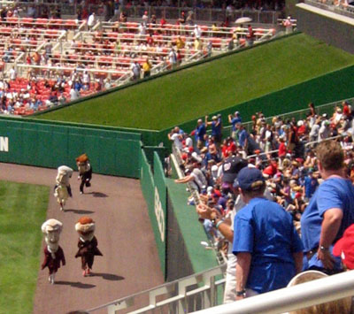 The Presidents Race at Nationals Park