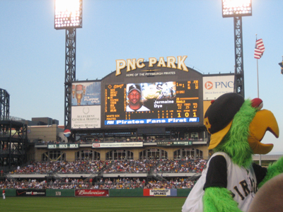 The Parrot Mascot